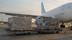 Air Freight Cargo 5 MPL