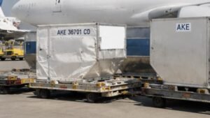 Air Freight Cargo 6 MPL